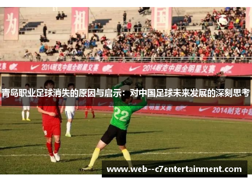 青岛职业足球消失的原因与启示：对中国足球未来发展的深刻思考